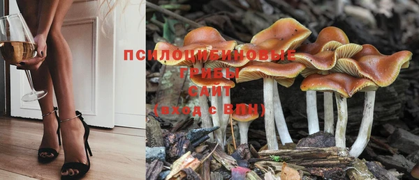 бошки Баксан