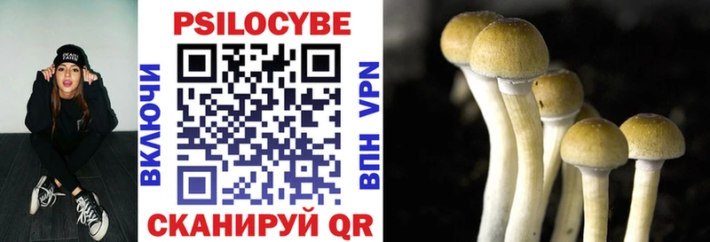 Псилоцибиновые грибы Psilocybine cubensis купить наркотик Кулебаки